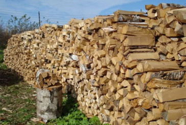Поліцейські застерігають: шахраї виманюють кошти під приводом продажу дров