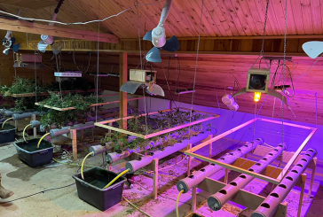 Поліцейські Тернопільщини викрили підпільну лабораторію з вирощування та переробки нарковмісних рослин