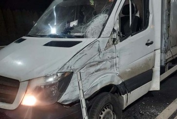 На Тернопільщині в результаті шести аварій загинуло двоє людей