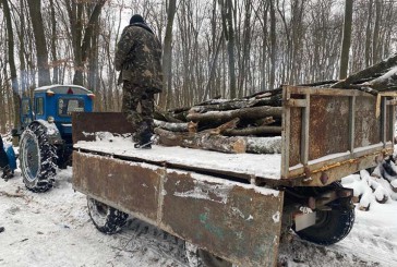 Поліцейські Тернопільщини піймали “на гарячому” чоловіка, який намагався викрасти деревину