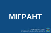 Підсумки «Мігранта» на Тернопільщині: виявили 27 нелегалів та 106 порушників міграційного законодавства