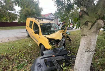 Причини шести автопригод, які трапилися на дорогах області, встановлюють слідчі поліції