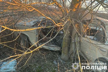 Причини автопригод, які трапилися на дорогах Тернопільщини, встановлюють поліцейські