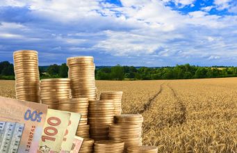 У січні до бюджету Тернопільщини надійшло понад 46 млн грн земельної плати