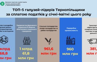 Топ-5 галузей-лідерів Тернопільщини за сплатою податків