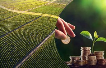 Понад 219 млн грн плати за землю отримали бюджети громад Тернопільщини