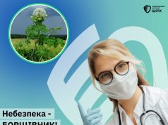 Борщівник атакує Тернопільщину