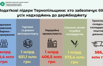 Податкові лідери Тернопільщини: хто забезпечує 69% усіх надходжень до держбюджету