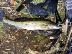 Нацгвардійці виявили двох чоловіків, які займалися незаконним підводним полюванням на Тернопільському ставі