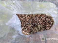 Поліцейські Чортківського району викрили два факти незаконного обігу наркотиків