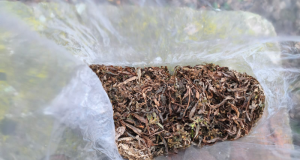 Поліцейські Чортківського району викрили два факти незаконного обігу наркотиків