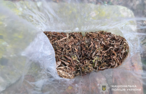 Поліцейські Чортківського району викрили два факти незаконного обігу наркотиків