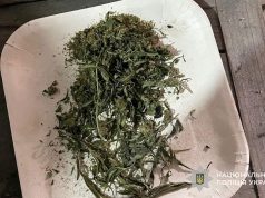 У жителя Борщівської громади поліцейські вилучили понад кілограм канабісу