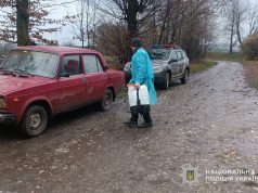 У громаді на Тернопільщині оголосили карантин через смерть диких кабанів