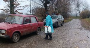 У громаді на Тернопільщині оголосили карантин через смерть диких кабанів