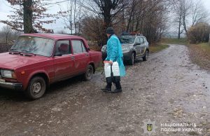 У громаді на Тернопільщині оголосили карантин через смерть диких кабанів