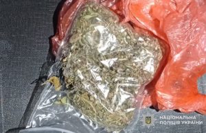 У жителя Вишнівецької громади поліцейські вилучили наркотичну речовину