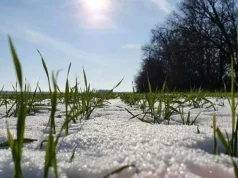 Земельний податок приніс громадам Тернопільщини більш як 823 мільйони гривень