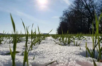 Земельний податок приніс громадам Тернопільщини більш як 823 мільйони гривень