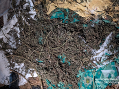 Слідчі поліції повідомили про підозру за наркозлочини двом жителям Кременеччини