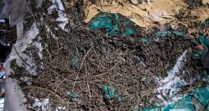 Слідчі поліції повідомили про підозру за наркозлочини двом жителям Кременеччини