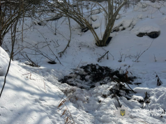 В одному із сіл Шумської територіальної громади до медиків з ознаками вірусної інфекції звернулася місцева жителька: сказу лікарі у неї не виявили