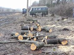 Службова недбалість на понад 1,2 млн грн: справу посадовця з Тернопільщини слідчі скерували до суду