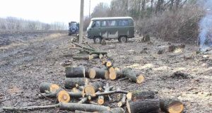 Службова недбалість на понад 1,2 млн грн: справу посадовця з Тернопільщини слідчі скерували до суду