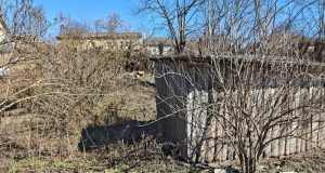 Поліцейські затримали жителя Чортківського району за підозрою у смертельному побитті односельчанки