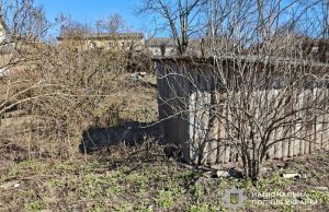 Поліцейські затримали жителя Чортківського району за підозрою у смертельному побитті односельчанки