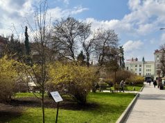 До 5 квітня тернополяни ще можуть долучитися до акції «Підтримуй ЗСУ – посади іменне дерево»