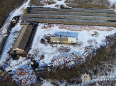 Незаконне видобування корисних копалин на понад 1,7 млн грн: на Тернопільщині судитимуть директора приватного підприємства