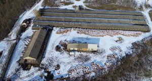 Незаконне видобування корисних копалин на понад 1,7 млн грн: на Тернопільщині судитимуть директора приватного підприємства