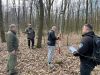 Зрубали лісу на 2 млн грн: на Тернопільщині судитимуть двох посадовців