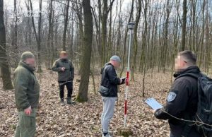 Зрубали лісу на 2 млн грн: на Тернопільщині судитимуть двох посадовців