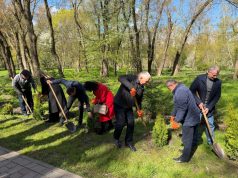 У парку Сопільче висадили нові дерева на Алеї пам’яті загиблих на виробництві