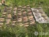 Співробітники водної поліції припинили незаконний вилов риби на території Теребовлянської громади на майже 250 тисяч гривень