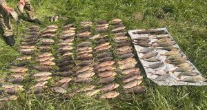 Співробітники водної поліції припинили незаконний вилов риби на території Теребовлянської громади на майже 250 тисяч гривень