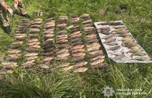Співробітники водної поліції припинили незаконний вилов риби на території Теребовлянської громади на майже 250 тисяч гривень