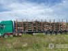 Збитки майже 1,2 млн грн: поліцейські Тернопільщини викрили злочинну групу, причетну до привласнення бюджетних коштів під час постачання лісопродукції державним установам