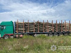 Збитки майже 1,2 млн грн: поліцейські Тернопільщини викрили злочинну групу, причетну до привласнення бюджетних коштів під час постачання лісопродукції державним установам