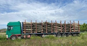 Збитки майже 1,2 млн грн: поліцейські Тернопільщини викрили злочинну групу, причетну до привласнення бюджетних коштів під час постачання лісопродукції державним установам