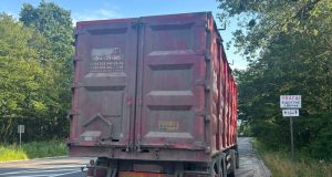 Майже 20 кубічних метрів бука – за підробленими документами: бережанські поліцейські розпочали кримінальне провадження