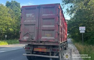 Майже 20 кубічних метрів бука – за підробленими документами: бережанські поліцейські розпочали кримінальне провадження