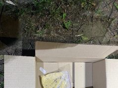 Поліцейські Тернопільщини долучилися до спецоперації “Рубікон” та викрили десятьох учасників наркобізнесу