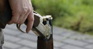 На Тернопільщині задекларували майже 400 одиниць зброї