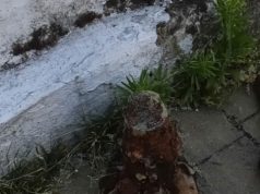 Виявлений у парковій зоні фрагмент міни не становить небезпеки