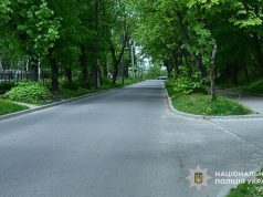 Поліцейські встановили особу зловмисника, який кинув металеву пляшку в дитину