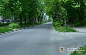 Поліцейські встановили особу зловмисника, який кинув металеву пляшку в дитину