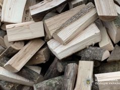 Підготовка до зими: шахраї ошукали жителя Тернопільщини під приводом продажу дров